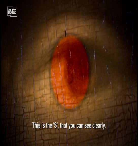 VIP US THE BLAZE - USA