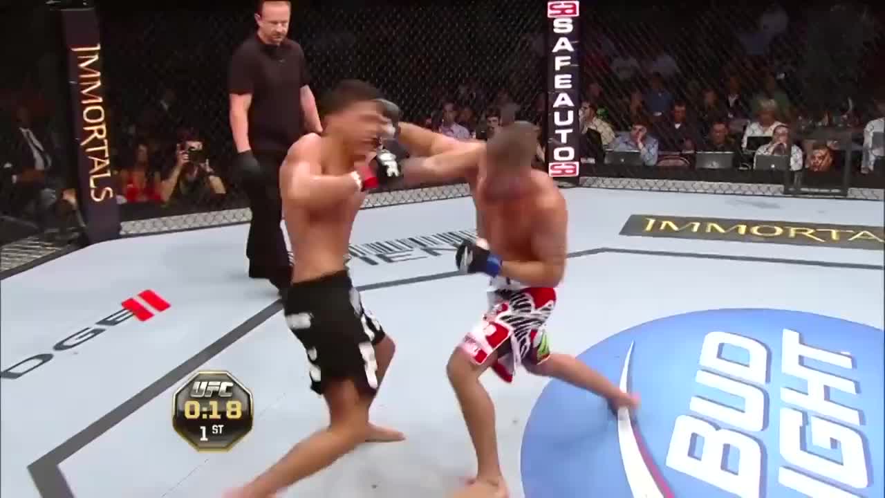 VIP US UFC FIGHT PASS FHD - USA