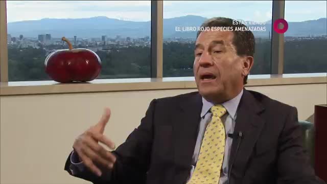 VIP LAT CANAL ONCE INTERNACIONAL - LATINO