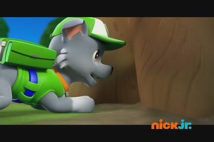 VIP LAT NICK JR - LATINO