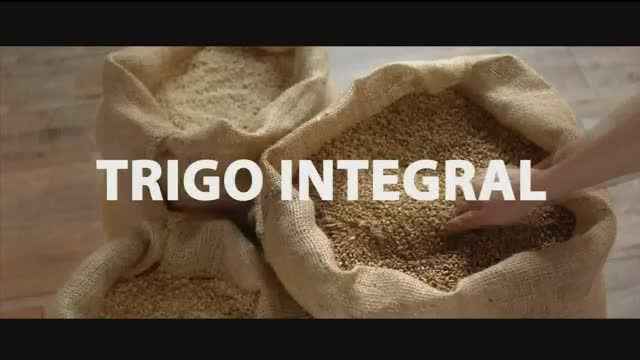 VIP SA CHV (PENDIENTE) - LATINO