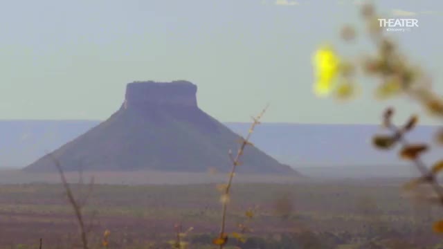 LATIN DISCOVERY THEATER - LATINO