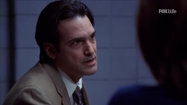 LATIN FOX LIFE - LATINO