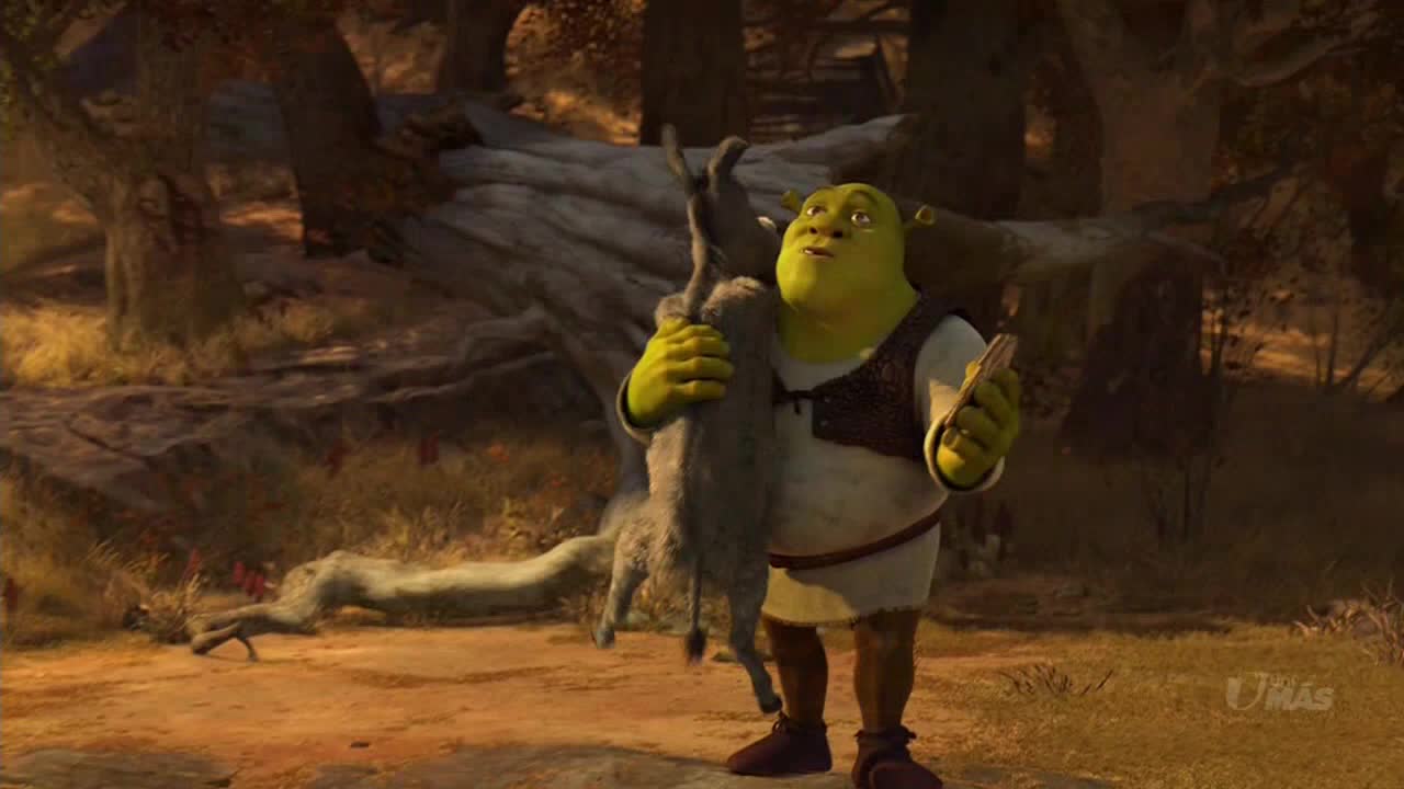 MEXICO UNIMAS - LATINO