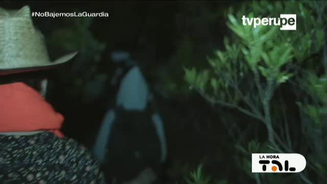 PERU FRECUENCIA LATINA - LATINO