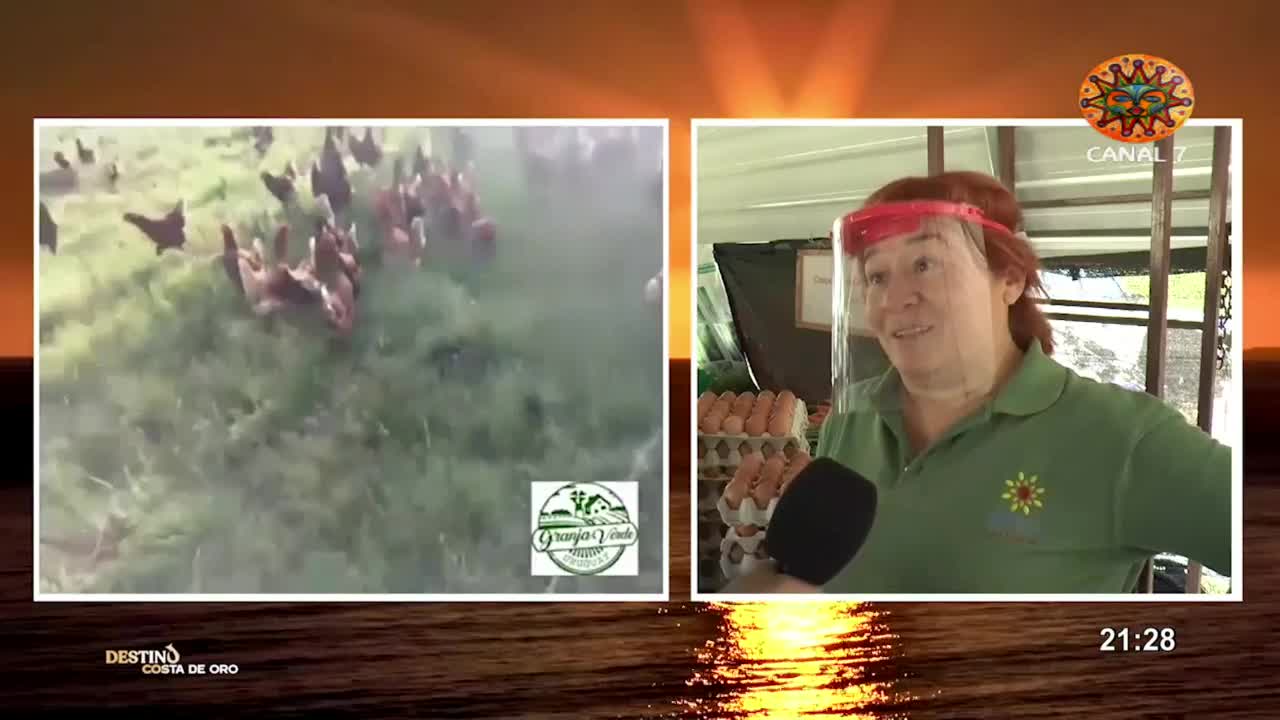 URUGUAY CANAL 7 PUNTA - LATINO