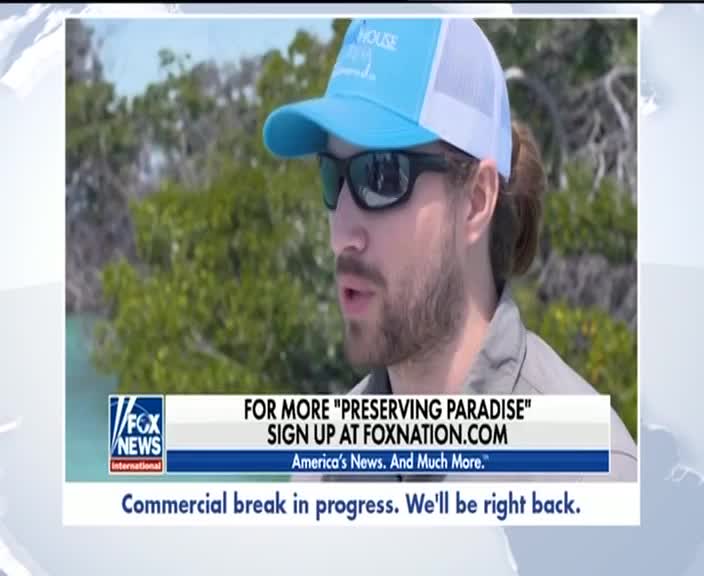 PT FOX NEWS - PORTUGAL