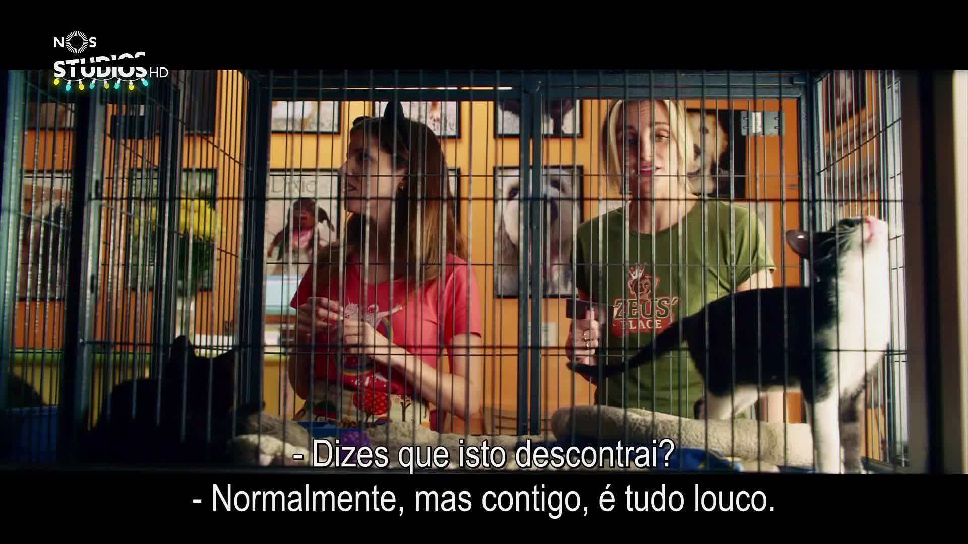 PT TV SERIES FHD - PORTUGAL