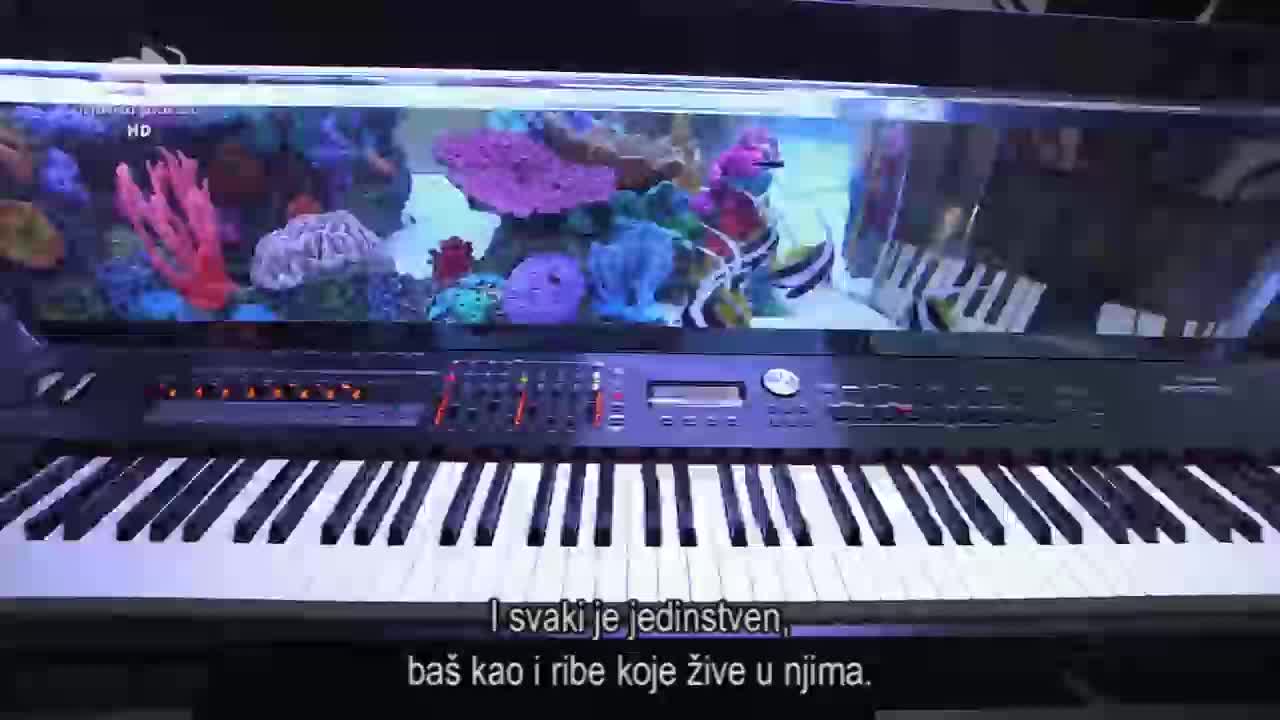 RS ANIMAL PLANET - EX YU