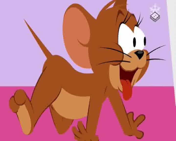 RS BOOMERANG - EX YU