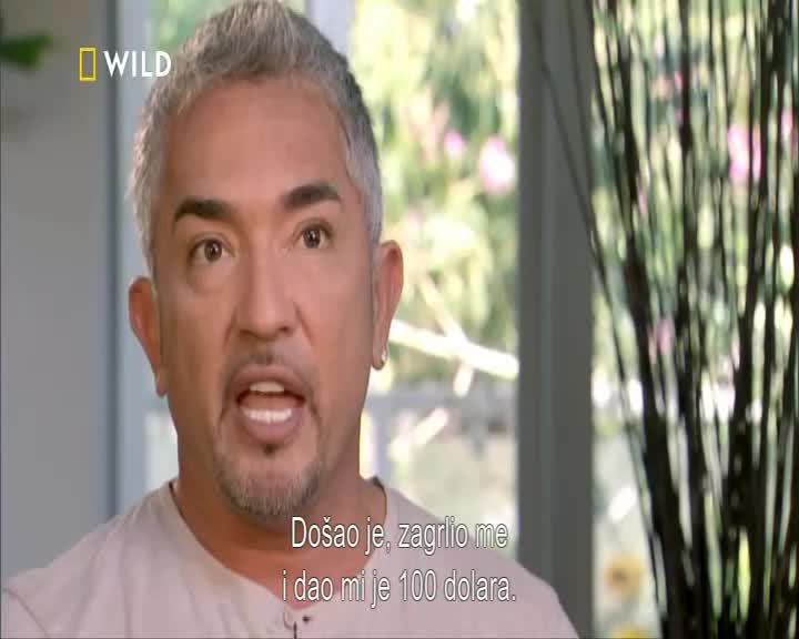 RS NAT GEO WILD HD - EX YU