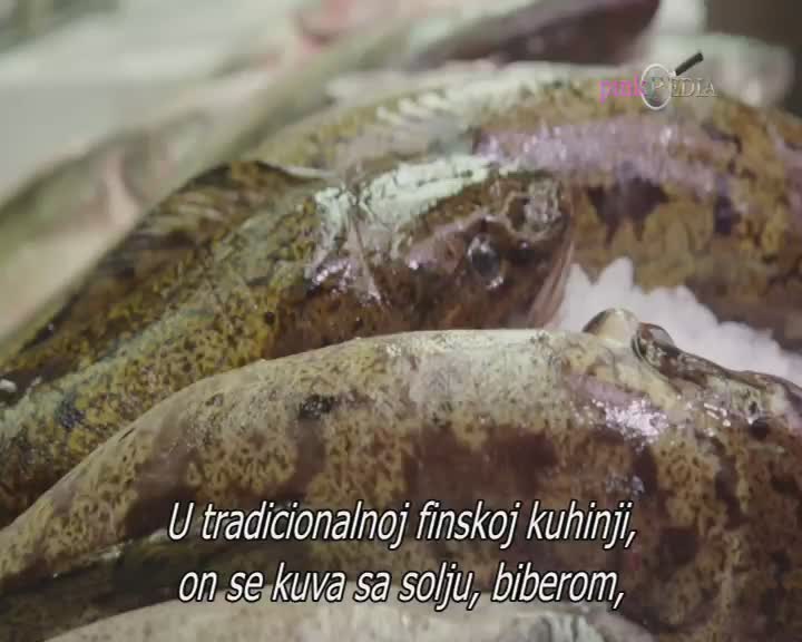 RS PINK PEDIA - EX YU