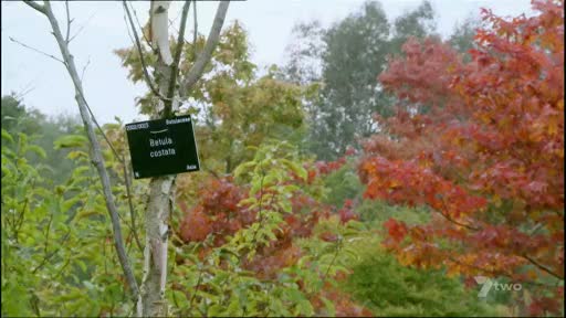 VIP AU 7 TWO - AUSTRALIA NZ