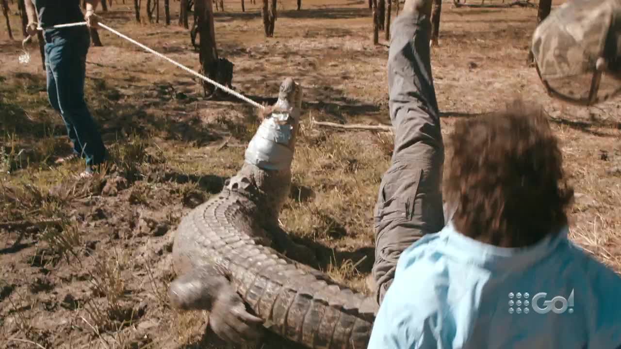 VIP AU 9GO HD - AUSTRALIA NZ