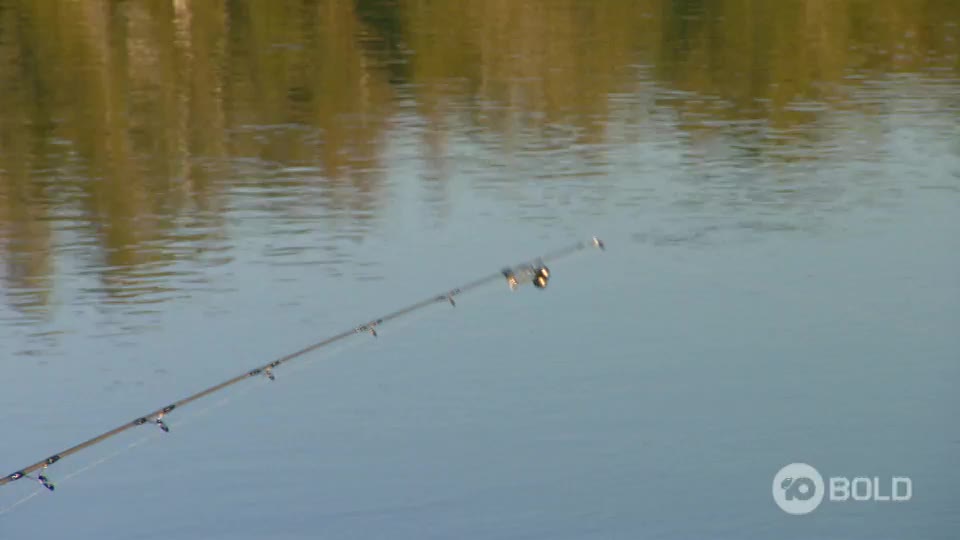 VIP AU 10 BOLD - AUSTRALIA NZ