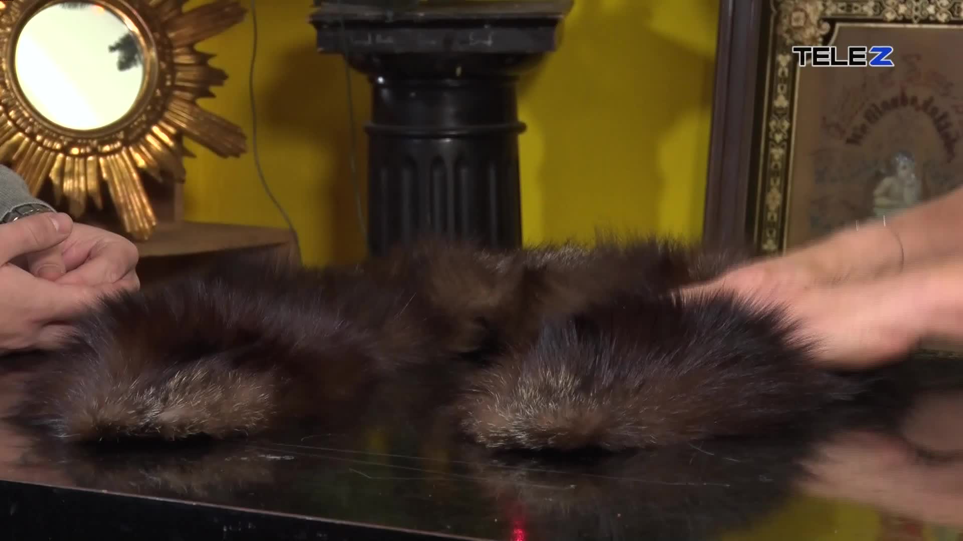 VIP SW TELE Z HD 1080P - SWITZERLAND