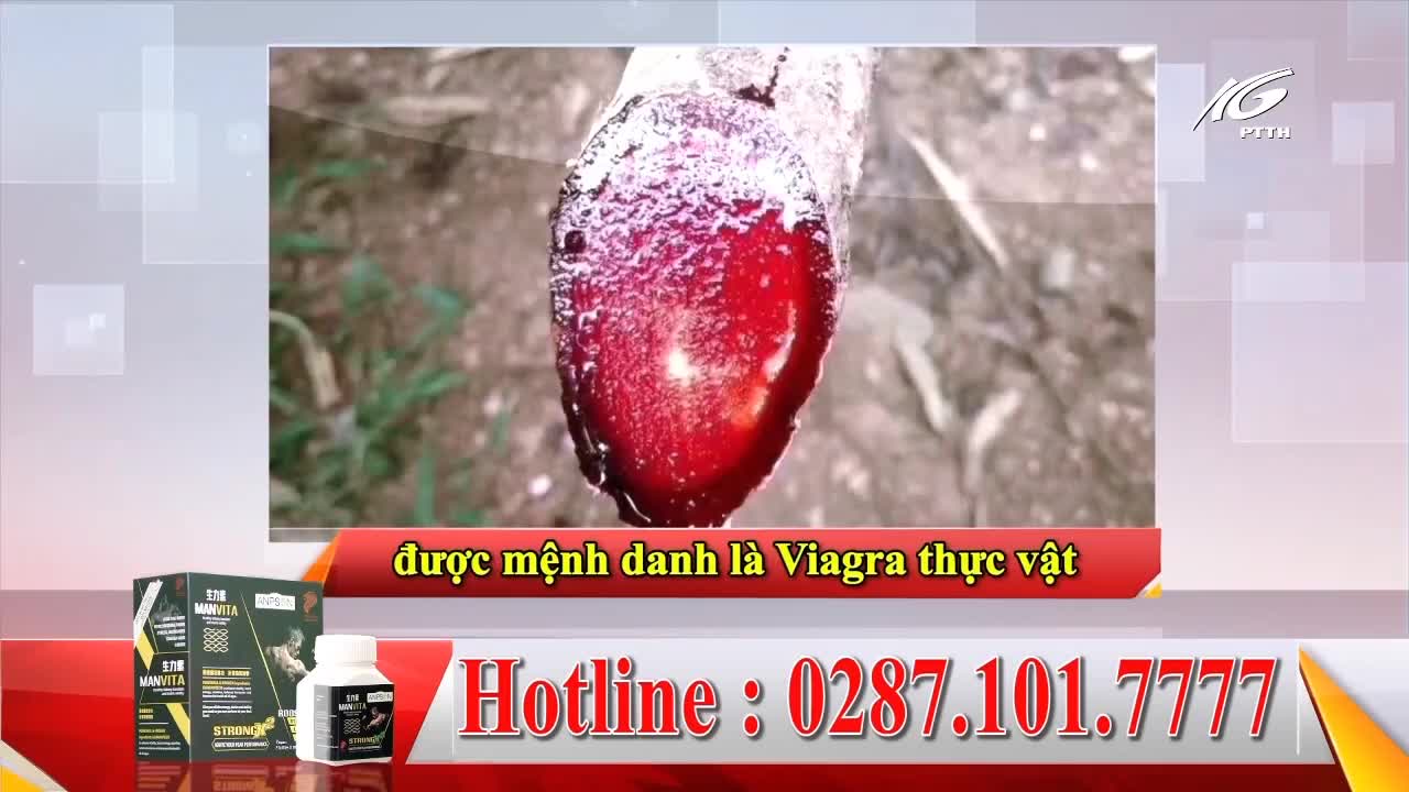 VIP VTN KIENGIANGTV - VIETNAM