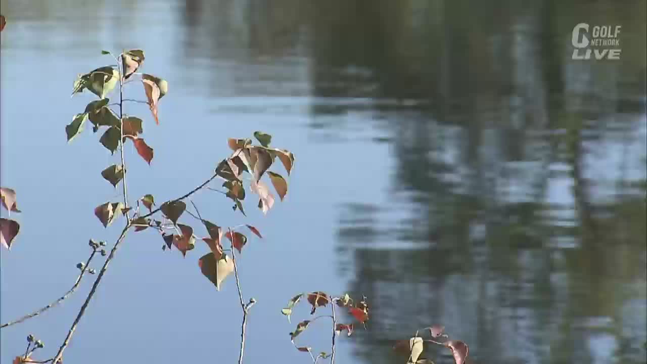 SPORTS JP J GOLF - SPORTS