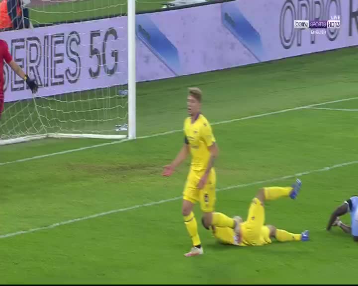 SPORTS AR BEIN SPORT HD13 BKUP2 - SPORTS