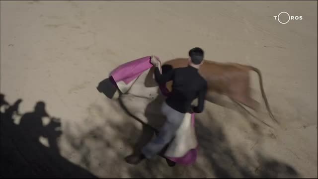 SPORTS PT TOROS TV - SPORTS