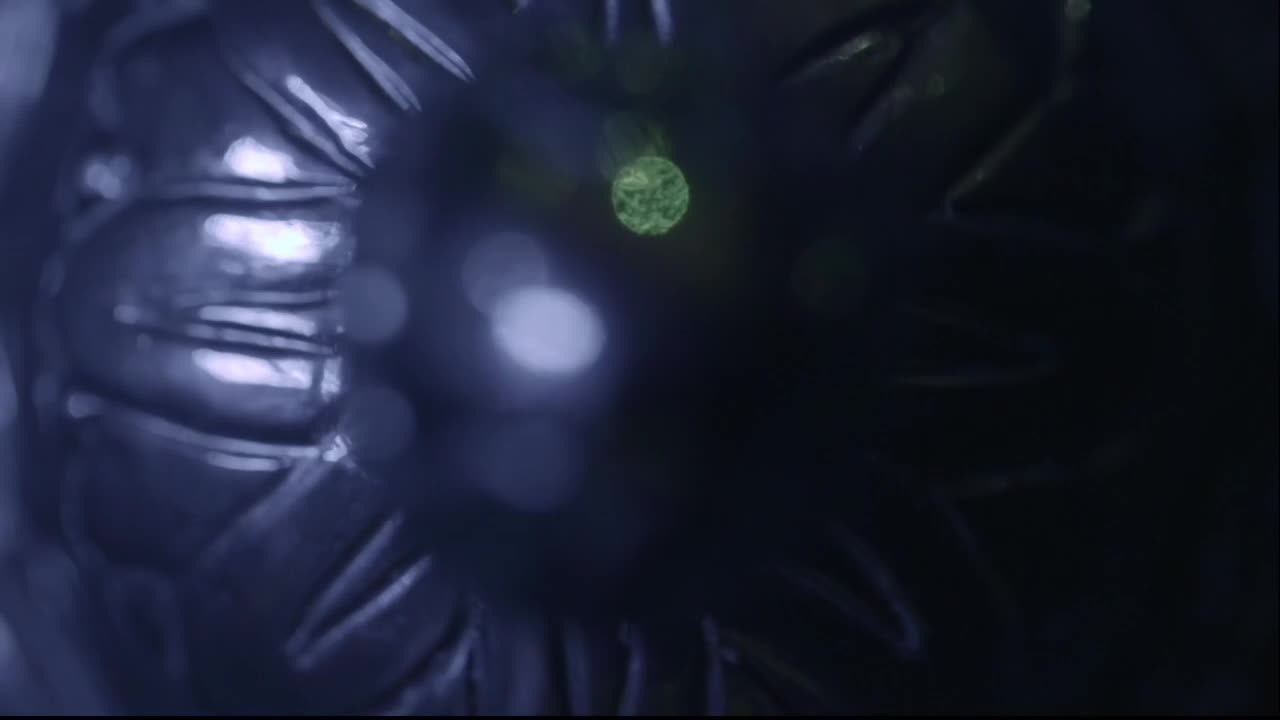 SPORTS NL FOX SPORTS 4 - SPORTS