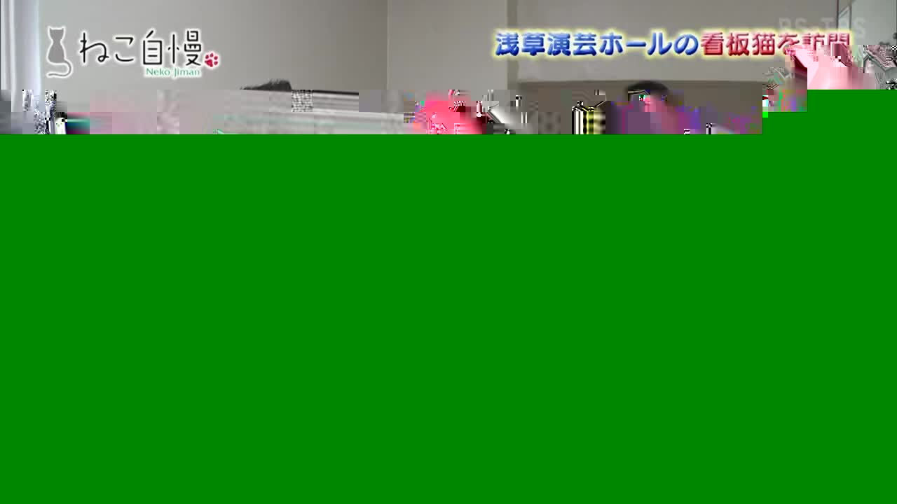 VIP JP BS TBS HD - KOREA JAPAN