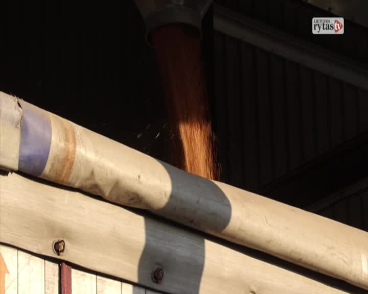 VIP LT LIETUVOS RYTAS FHD - BALTIC