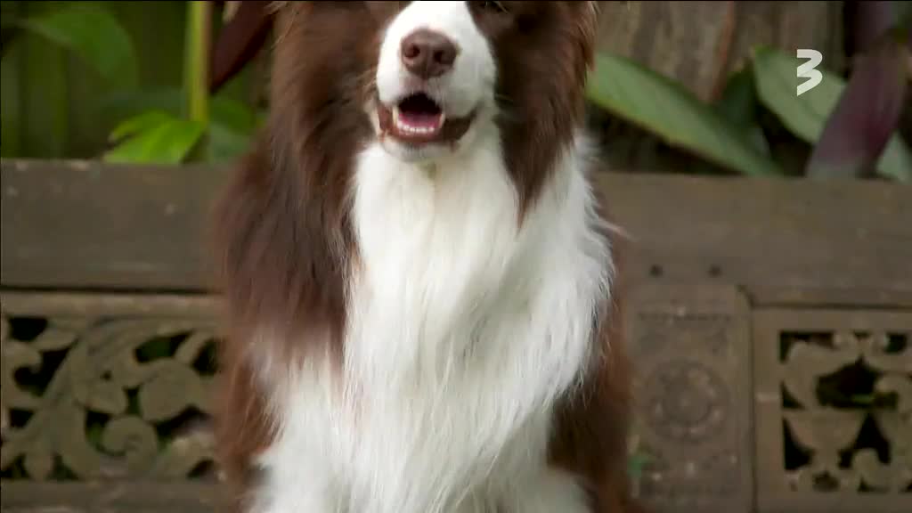 LTV TV3 LTV - BALTIC