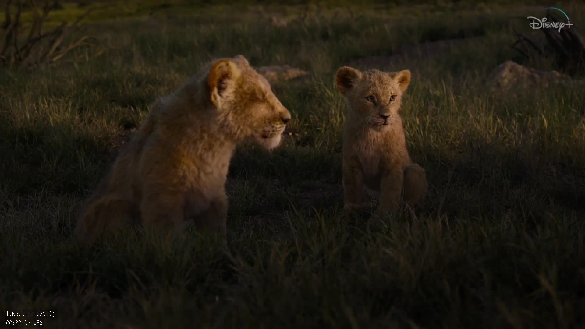 VIP IT DISNEY JUNIOR - ITALY MALTA