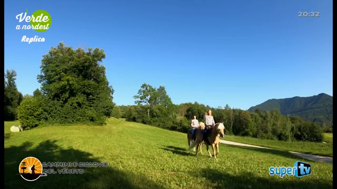 VIP IT SUPER - ITALY MALTA