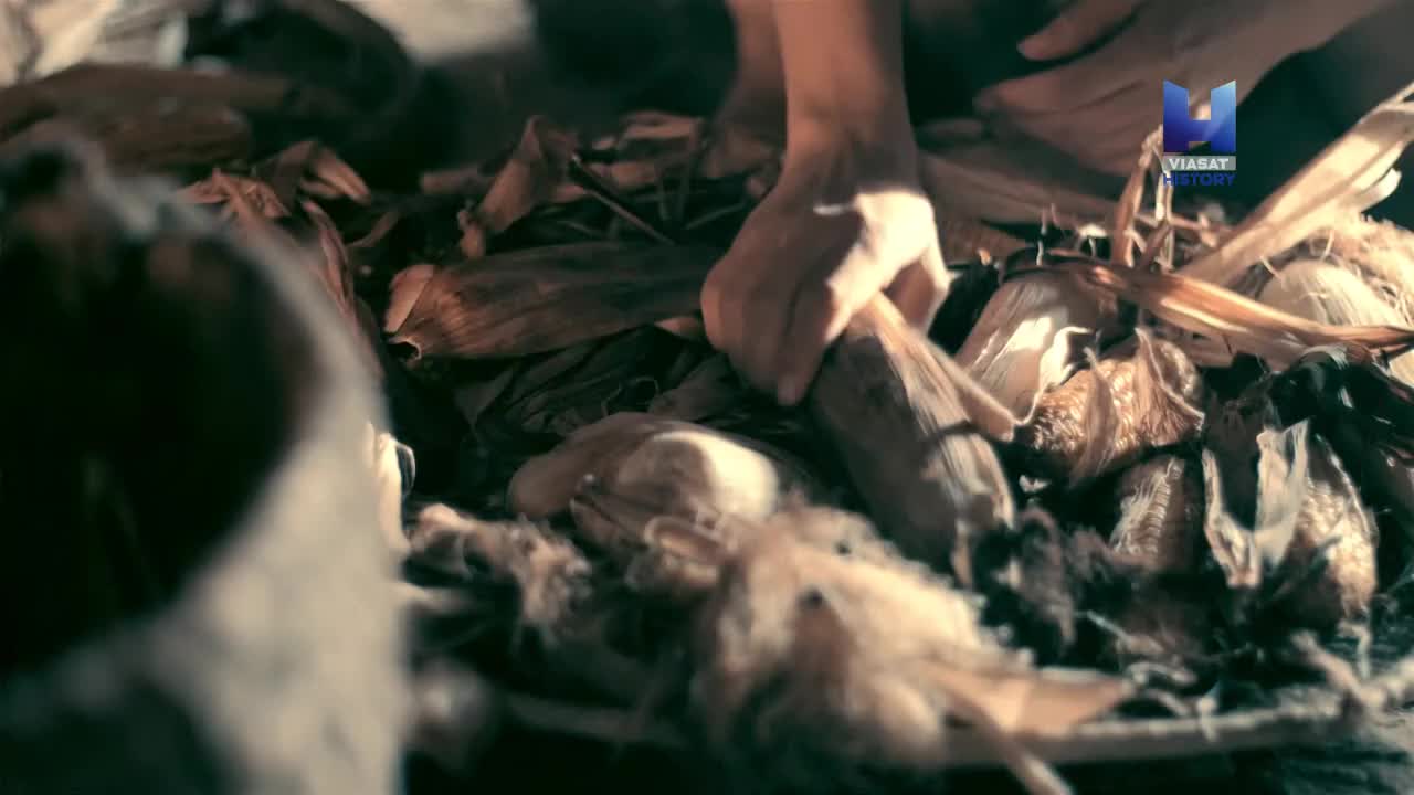 VIP SE VIASAT HISTORY FHD - SWEDEN