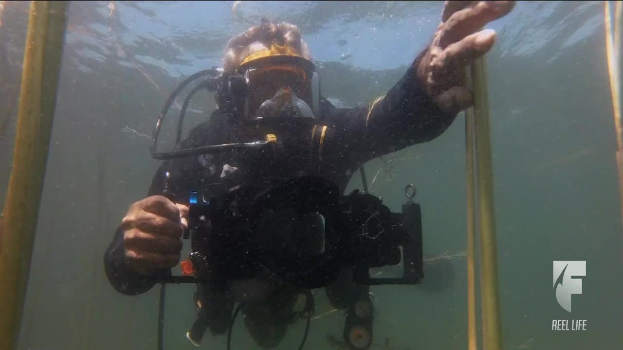 VIP US WORLD FISHING NETWORK HD - USA