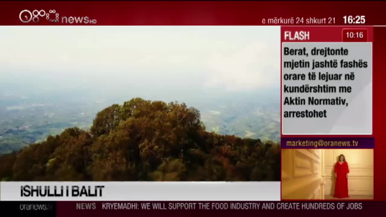 AL ORA NEWS HD - ALBANIA