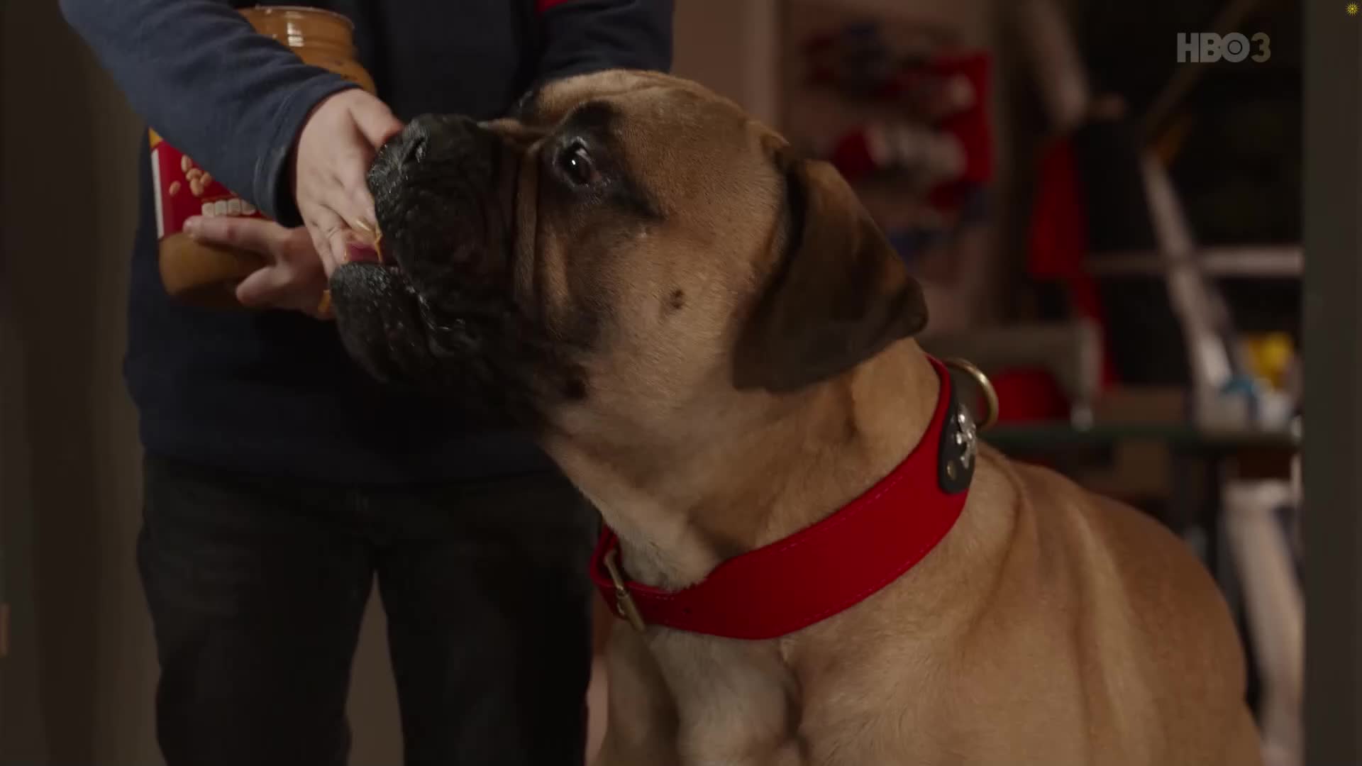 MK HBO 3 HD MK - MACEDONIA