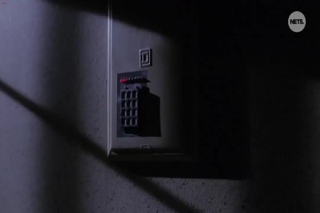 NL NET5 HD - NETHERLANDS