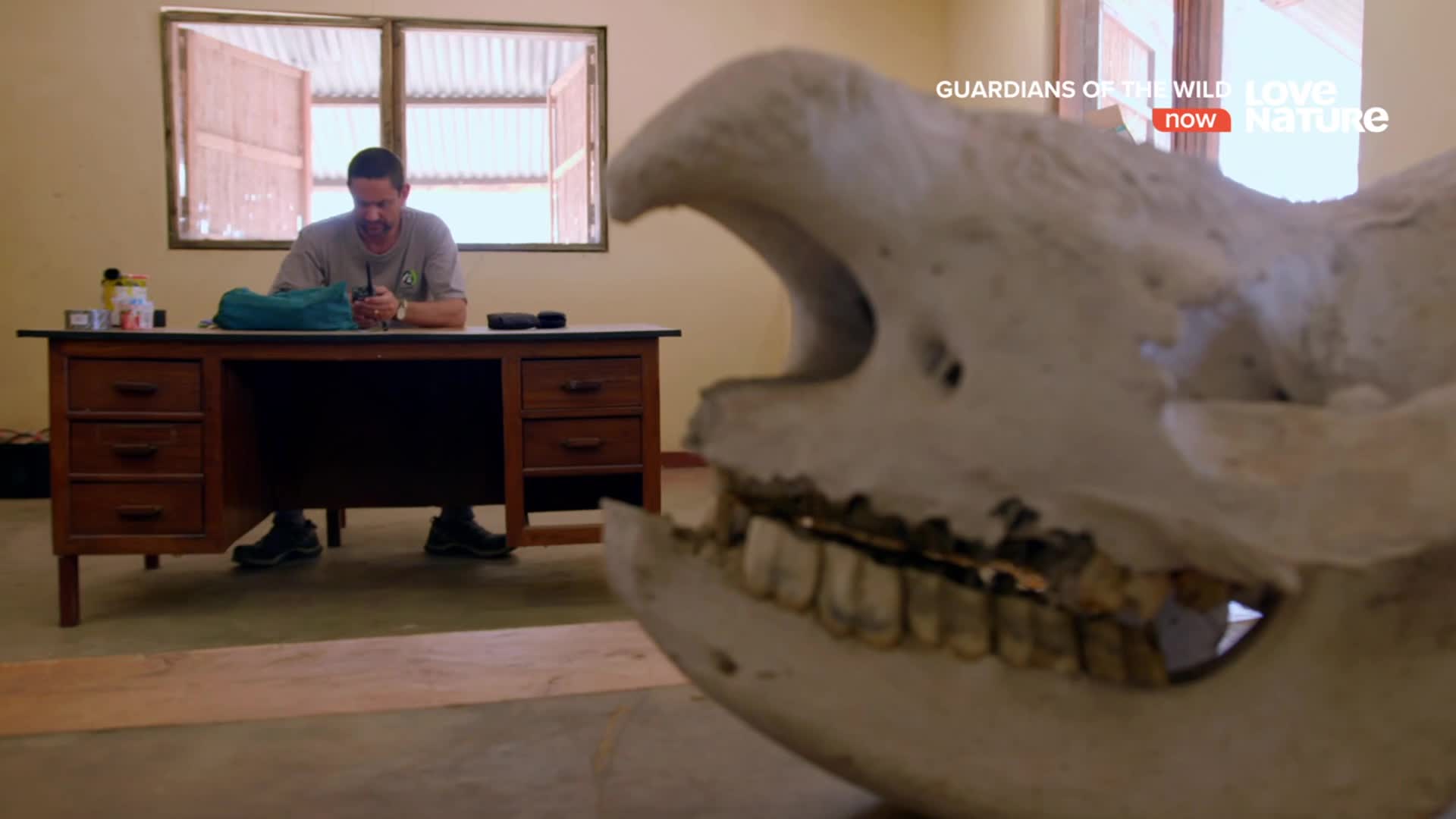 NL LOVE NATURE FHD - NETHERLANDS