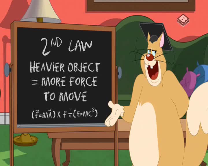 NL BOOMERANG - NETHERLANDS