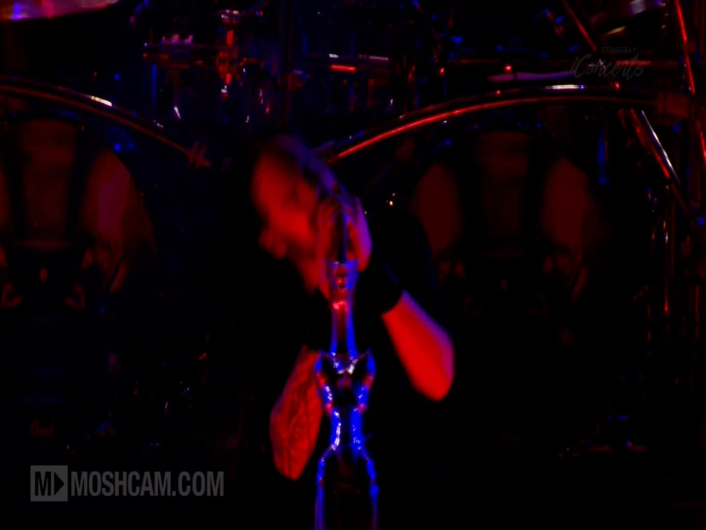 NL ICONCERTS - NETHERLANDS