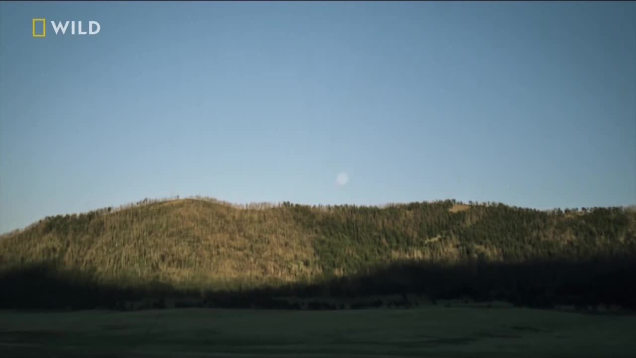 VIP MLZ DRAMA SANGAT - MALAYSIA SINGAPORE