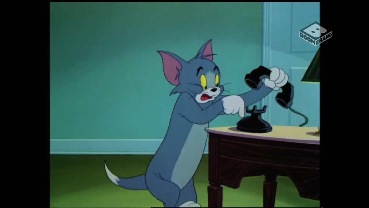 VIP MLZ BOOMERANG HD KD - MALAYSIA SINGAPORE