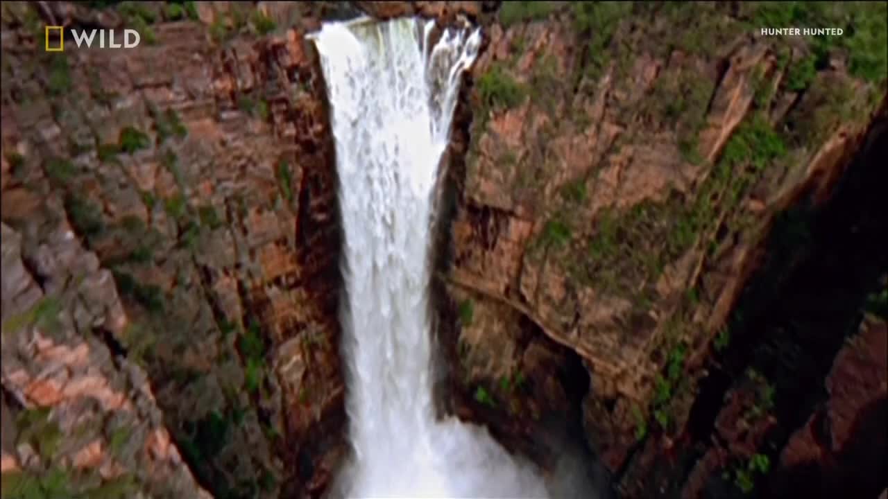 VIP MLZ NAT GEO WILD HD - MALAYSIA SINGAPORE