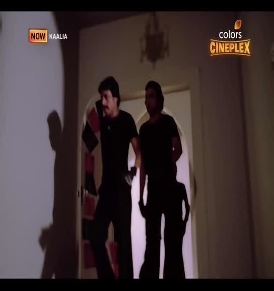 VIP MLZ COLORS CINEPLEX - MALAYSIA SINGAPORE