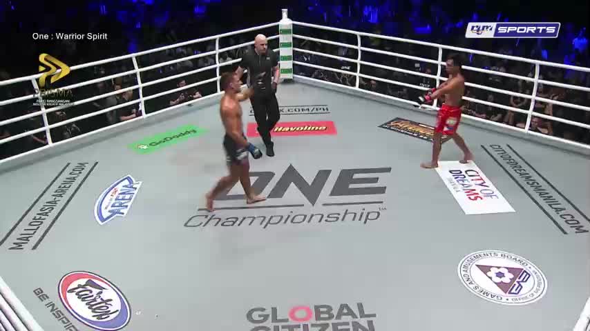 VIP MLZ RTM HD SPORTS - MALAYSIA SINGAPORE