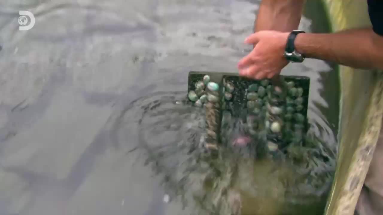 VIP SLO DISCOVERY CHANNEL - SLOVENIA