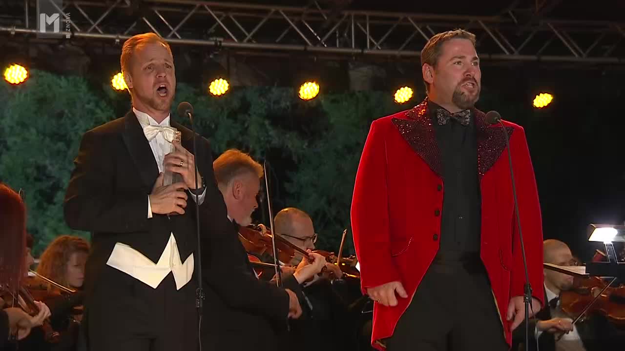 VIP SLO VOYO - SLOVENIA