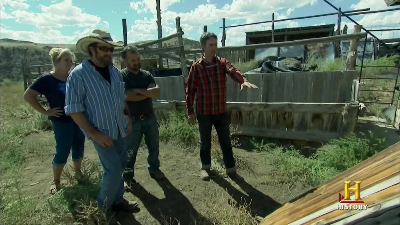 24/7 CAREBEARS - 24/7 CHANNELS