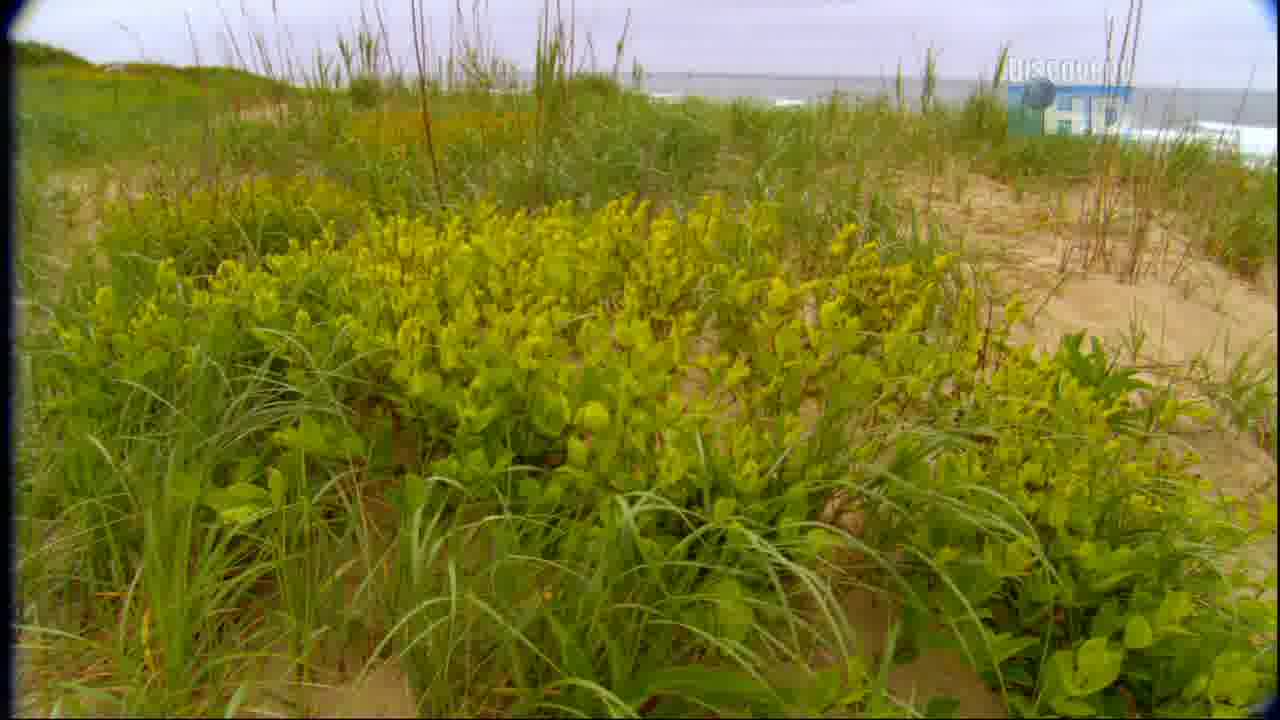 24/7 DISCOVERY  ISH - 24/7 CHANNELS