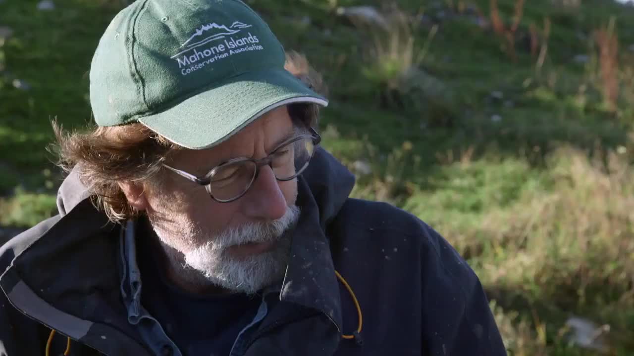 24/7 THE CURSE OF OAK ISLAND - 24/7 CHANNELS