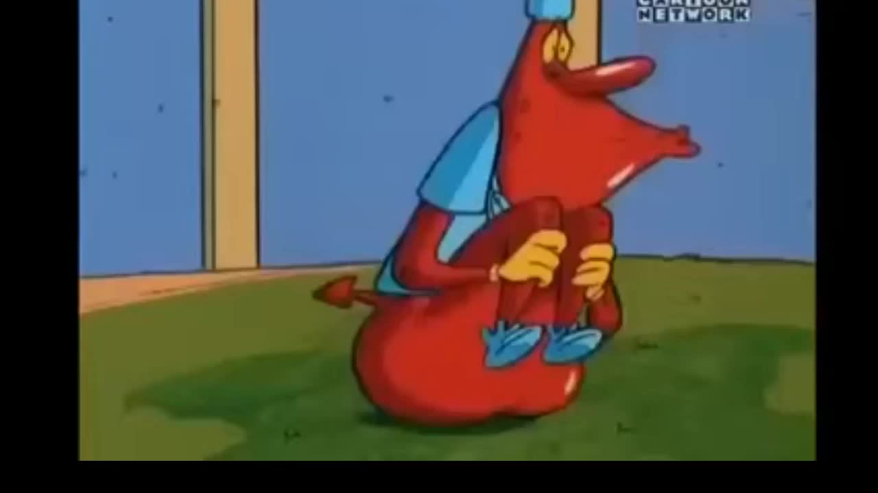 24/7 COW AND CHICKEN - 24/7 CHANNELS