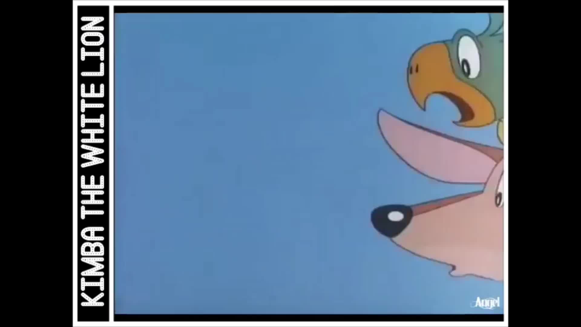 24/7 KIMBA THE WHITE LION - 24/7 CHANNELS